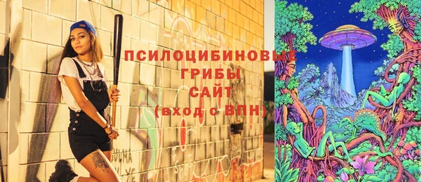ПСИЛОЦИБИНОВЫЕ ГРИБЫ Верхний Тагил
