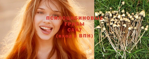 альфа пвп Верхнеуральск