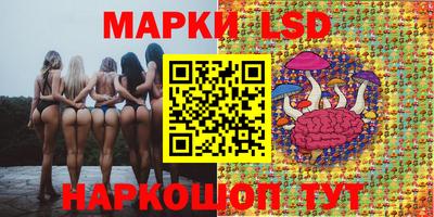 эйфоретик Бийск