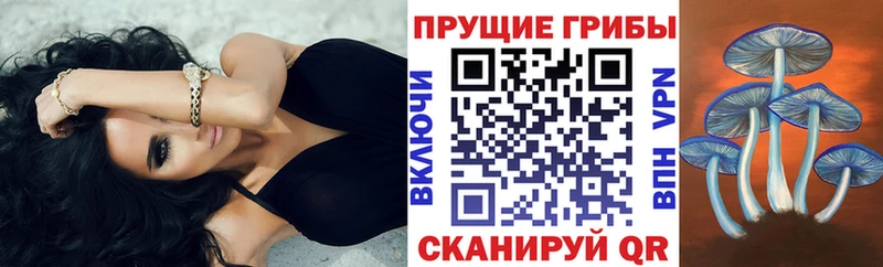 Галлюциногенные грибы GOLDEN TEACHER  Бугульма 