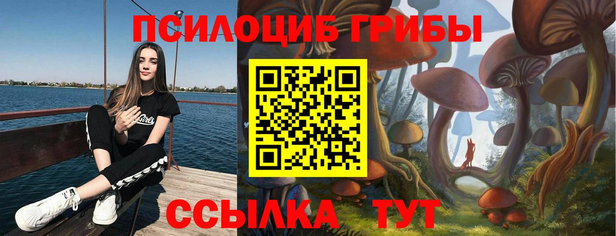 Галлюциногенные грибы GOLDEN TEACHER Бугульма