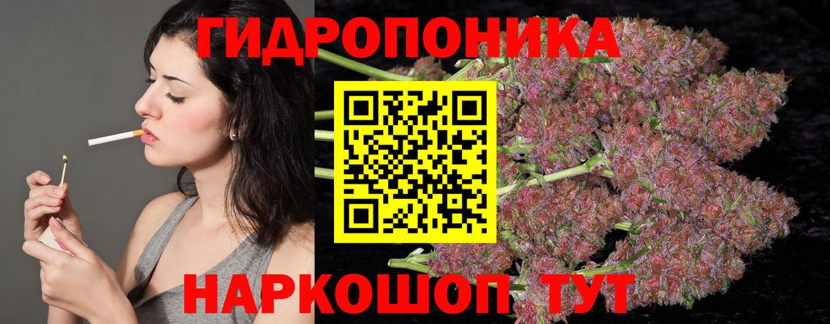 Бошки Шишки гибрид Бугульма